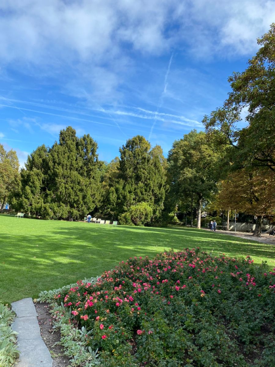Lush Garden Lawn with Flower Beds and Mature Trees in a Public Park